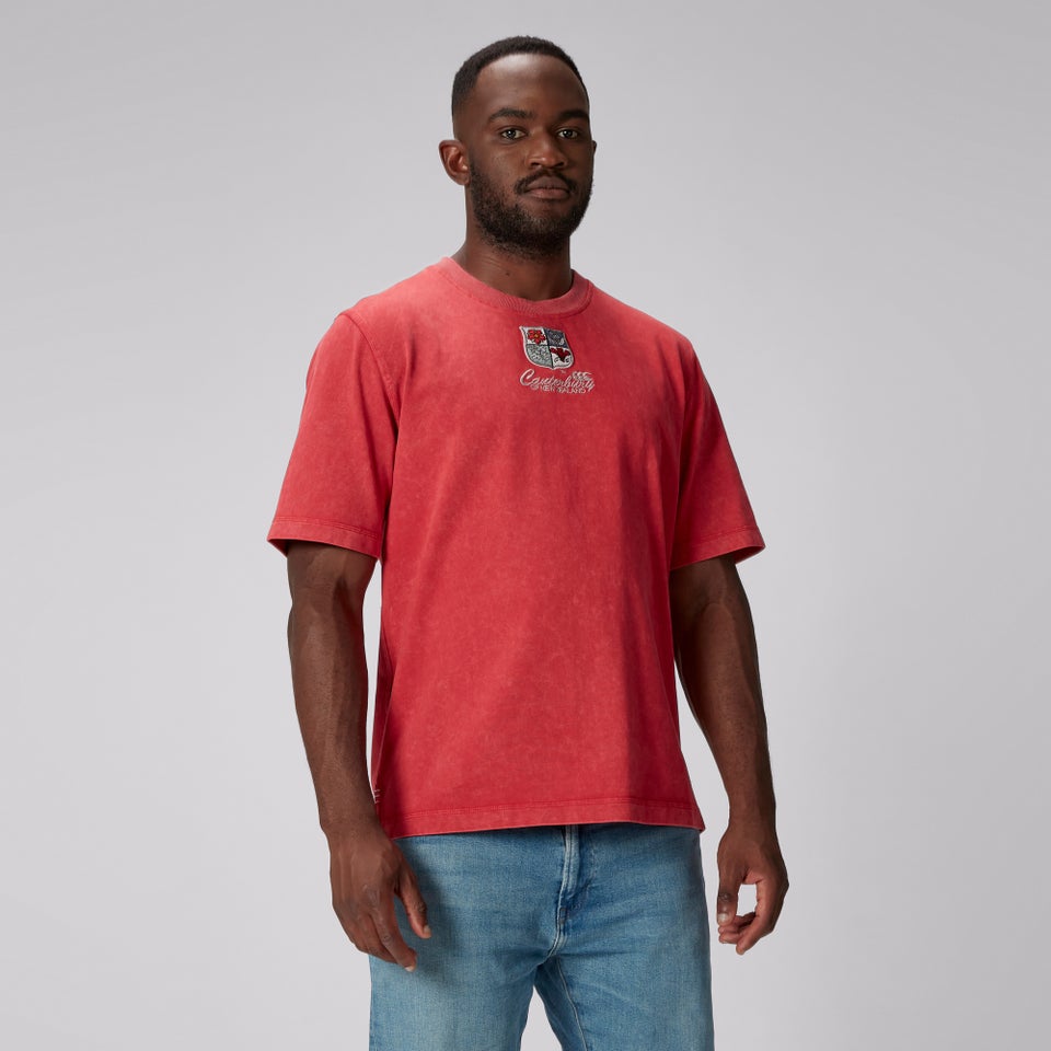 Adult Unisex British & Irish Lions CCC Heritage Tee Red