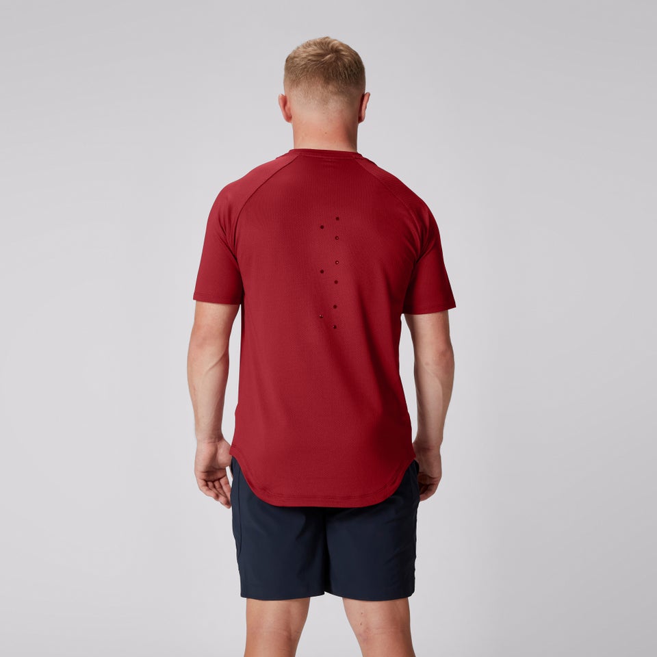 Mens British & Irish Lions Everest Tee Red