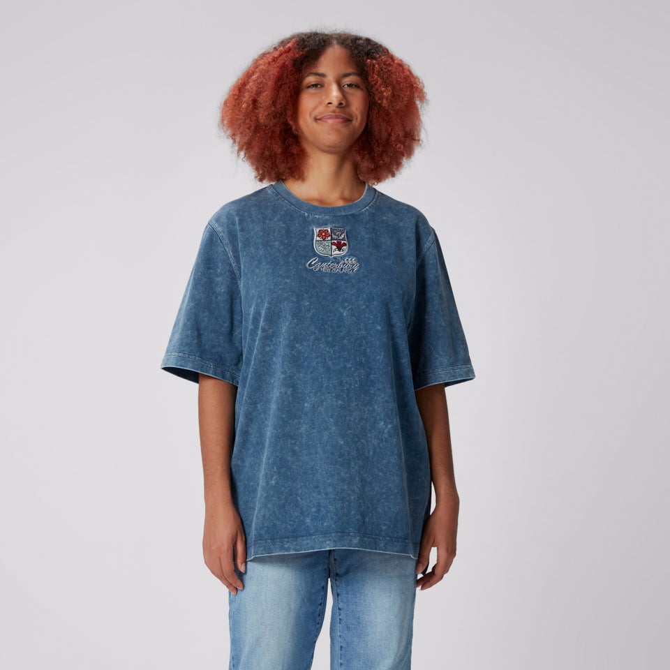 Adult Unisex British & Irish Lions CCC Heritage Tee Navy